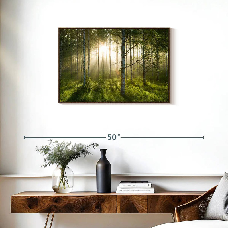 Birch Forest Sunlight, Cadre flottant noyer, 31 po x 21 po