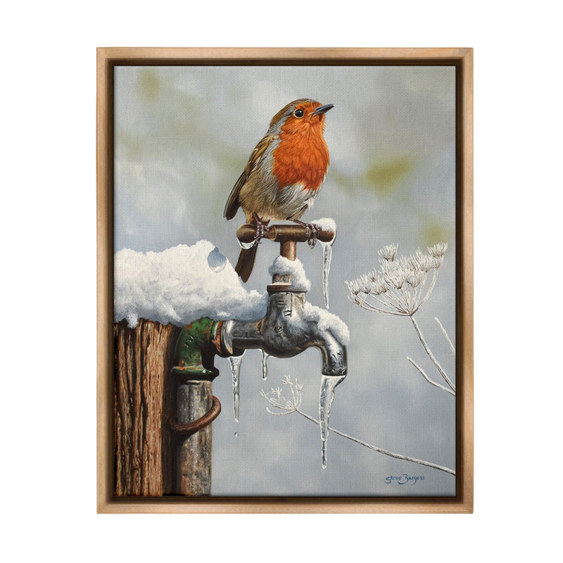 «Robin Bird & Winter Scene», art mural encadré par Steve Burgess, Cadre flottant orme Montalcino, H 31 po x l 25 po