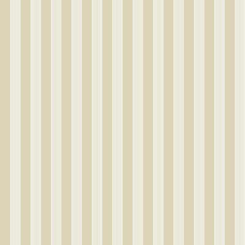 Nerijus Little Explorers 2 Vertical Ribbon Wallpaper Roll, Beige