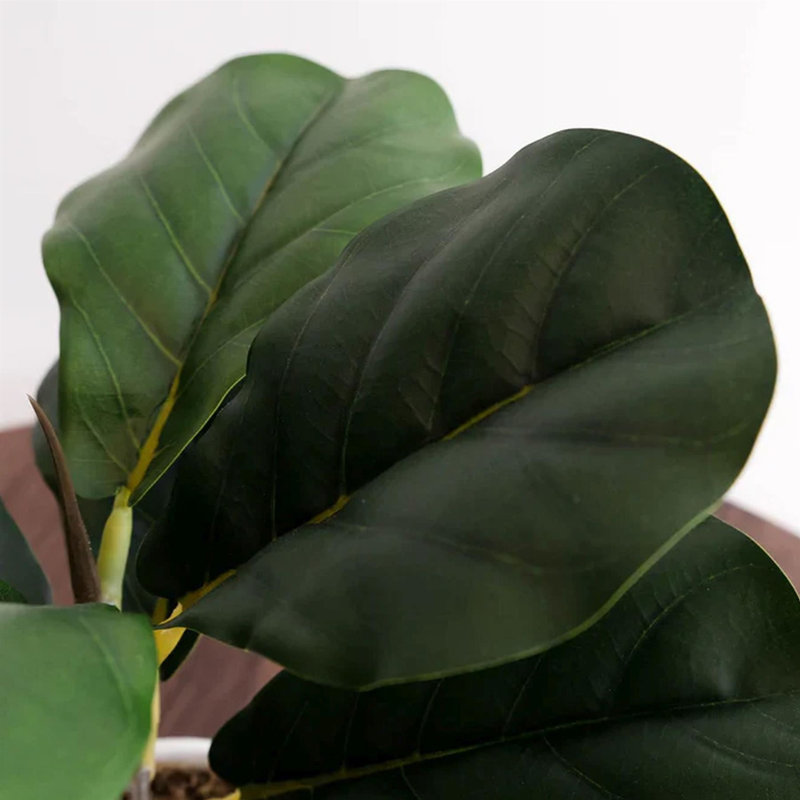 Ananias 38cm Faux Foliage Plant in Pot