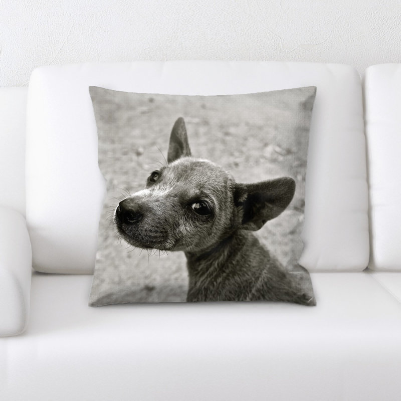 Coussin pour chien