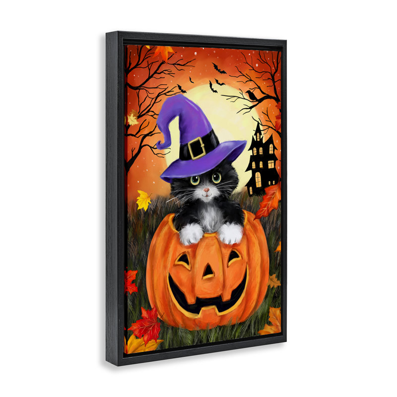 «Cat Peeking» par Jack-o-Lantern, cadre flottant, conception de Jean-François, H 25 po x l 17 po, Cadre flottant noir de jais