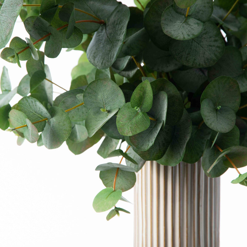 Eucalyptus dans un vase