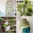 66'' Fern Plant-40018674
