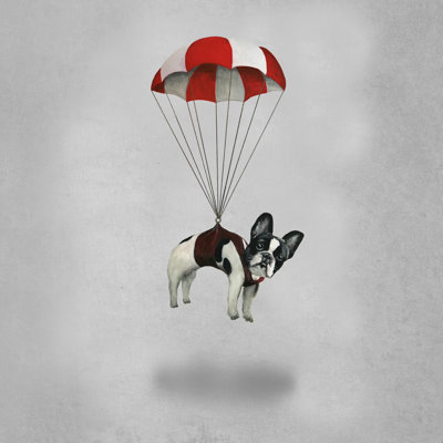 " Flying Frenchie " by Coco De Paris