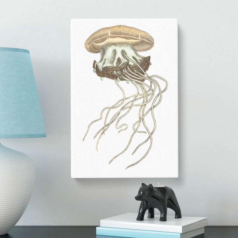 Crown Jellyfish by George Shaw - Wrapped Canvas, 60cm H x 40cm W x 3cm D