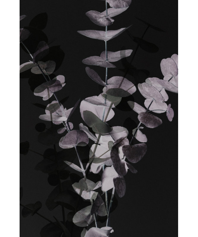 Wrapped Canvas Print, 50.8 cm H x 76.2 cm W