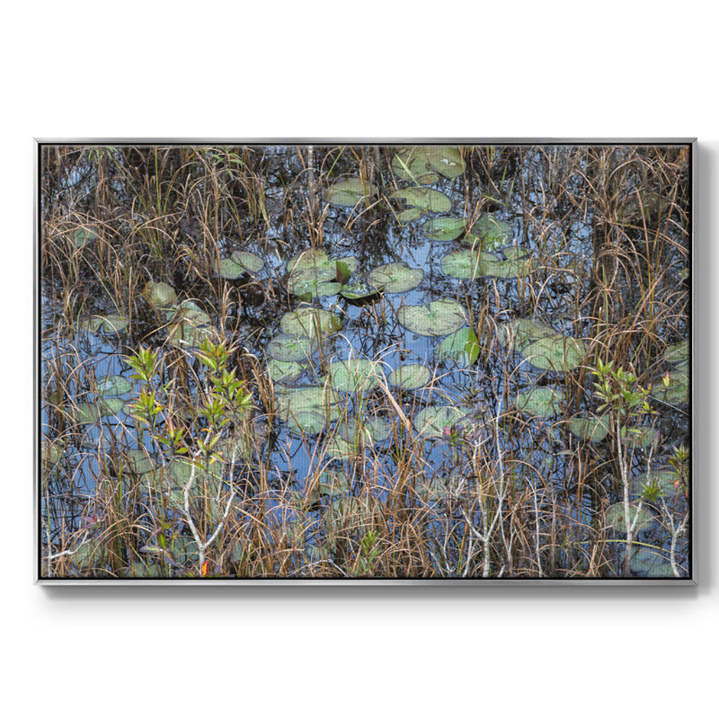 The Marsh - reproduction sur toile avec cadre flottant, H 27 po x l 41 po x P 2 po, Argent
