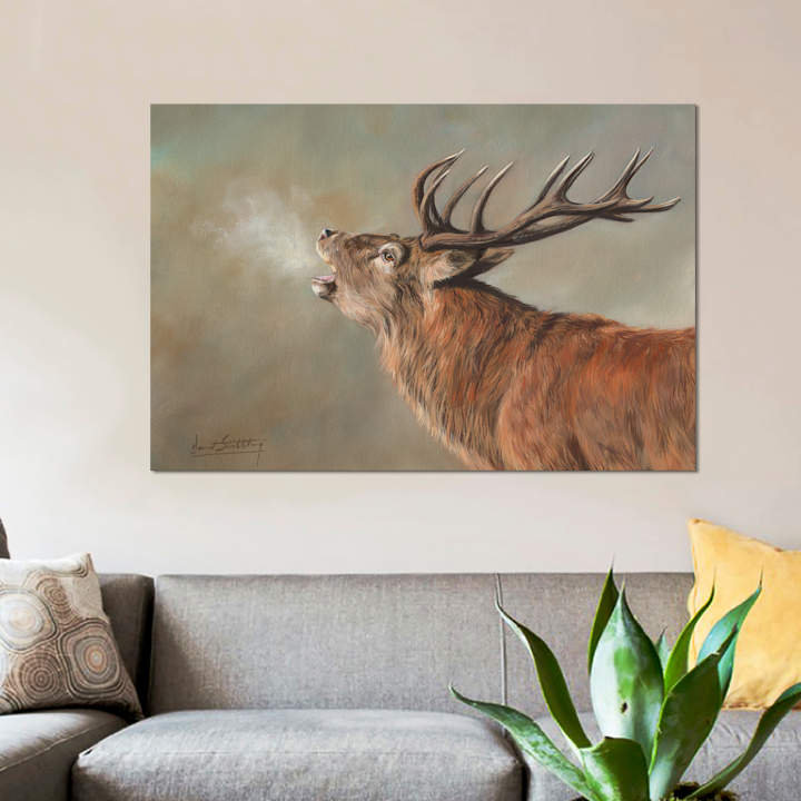 «Red Deer Stag Early Morning» par David Stribble, impression sur toile tendue, H 12 po x l 18 po x P 1,5 po, Pas de tapis