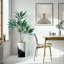 66 plantes-97701035