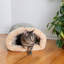 Lit pour chat spécialisé-6347875