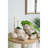 11.5X7x7" Sand And Cement Nautilus Shell Planter With Textured Beige Finish
