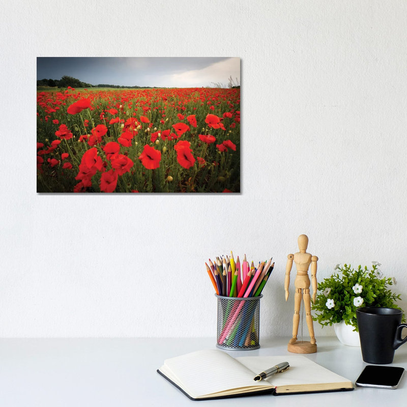 Poppies Field by Mateusz Piesiak - Floater Frame Print on Canvas, Wrapped Canvas, 20.32 cm H x 30.48 cm W