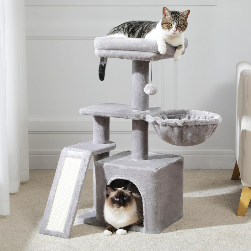 Arbre à chat d'intérieur compact, Gris