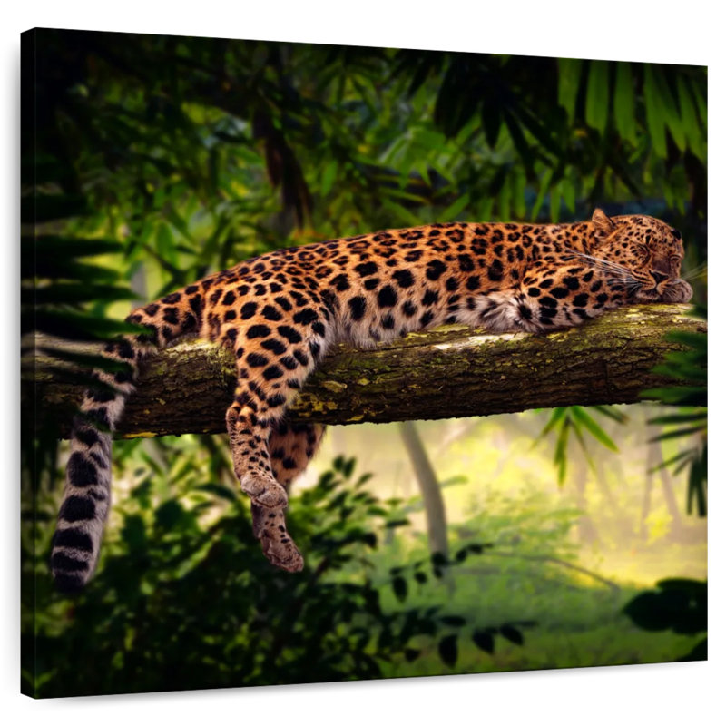 Crowle Sleeping Jungle Leopard, 24" H x 24" W