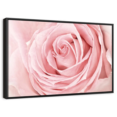 Fresh Pink Rose