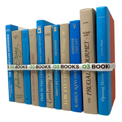 Seaside Serenade Decorative Books Blue and Tan