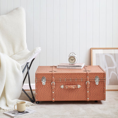 Texture Brand Trunk - Vibrant Aqua Ostrich
