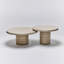 Hunt 2 - Piece Coffee Table Set-199028931