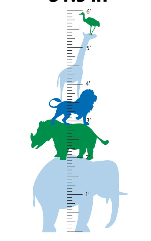 Décalcomanie murale graphique à croissance animale, Bleu clair / Vert / Bleu