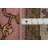 Handmade Pink Transitional Oushak Large Area Rug 9x12