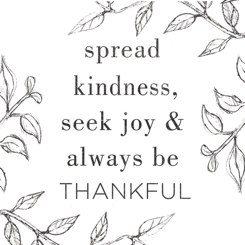 Spread Kindneno Script - Wrapped Canvas Print, 51cm H x 51cm W x 3.8cm D