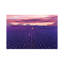 Lavande Sunset par Hobopeeba - reproduction de photo-54048621-54048636-54048638