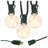 Bailey-Mai Electric LED Globe String Lights with 25 Clear Bulbs