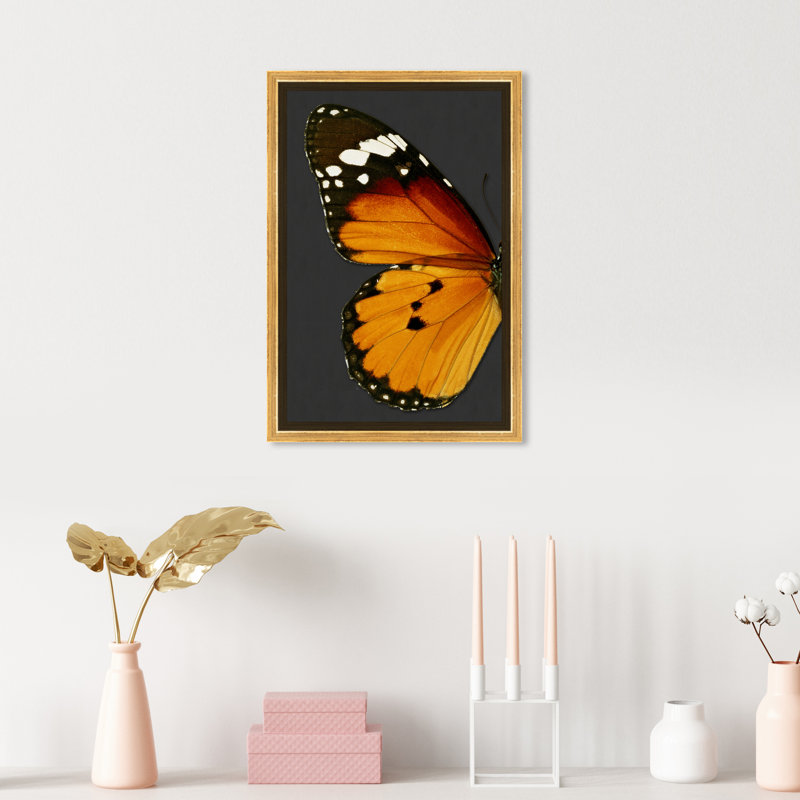 Monarque et papillon gris I - cadre flottant, impression sur toile, Cadre doré, H 15 po x l 10 po