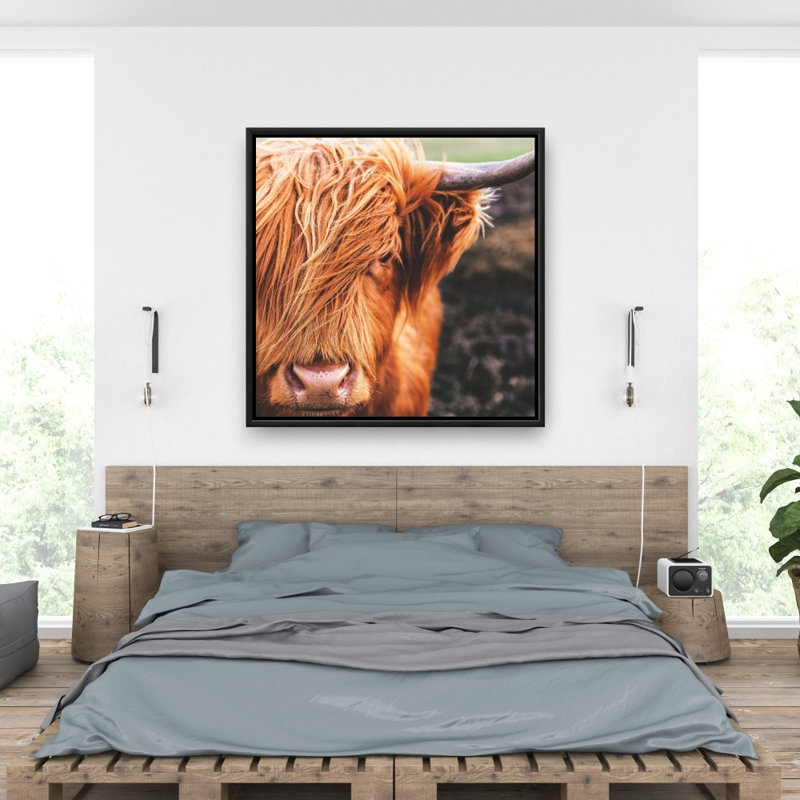 «Portrait Highland Cow» sur toile