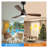 48 Inch Solid Wood Ceiling Fan with LED Light, Remote Control Reversible DC Motor for Living Room Bedroom Patio-125410510