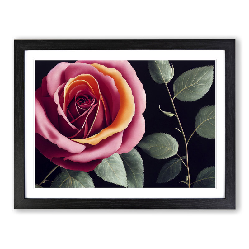 Beaming Rose Flower - Single Picture Frame Print, 34cm H x 46cm W x 2cm D, Black