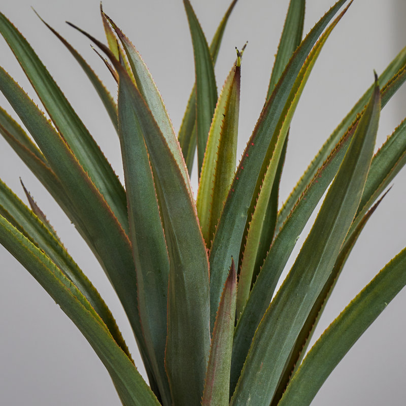 Plante agave artificielle en pot