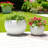 Polyresin Planters With Twisted Design And Sculptural Detailing, Set Of 2-1438223762