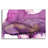" Violet " by Chris Paschke-705380122