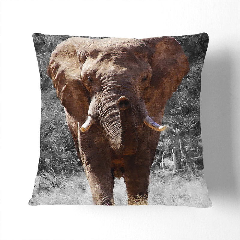 Elephant Vol.1 Square Throw Cushion, 55cm H x 55cm W x 20cm D