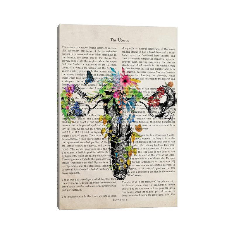 «Uterus Anatomy Print» par - Toile tendue, H 60 po x l 40po x P 1,5 po