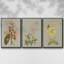 Botanical Array II, ensemble de 3 toiles encadrées sur toile-97760355-97760352