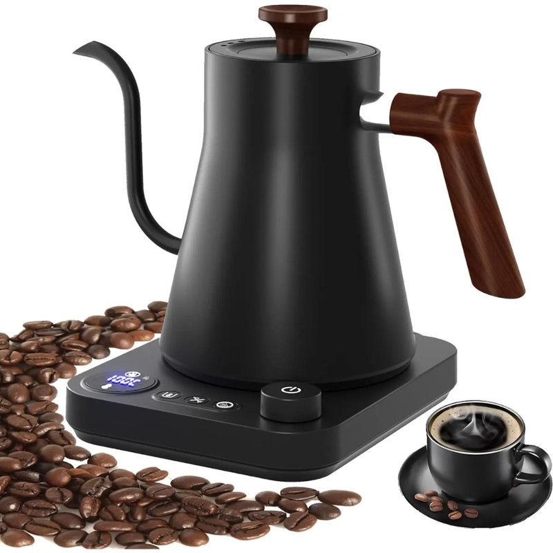Electric Gooseneck Kettle with Temperature Control for Precise Coffee Brewing 900ML, Black