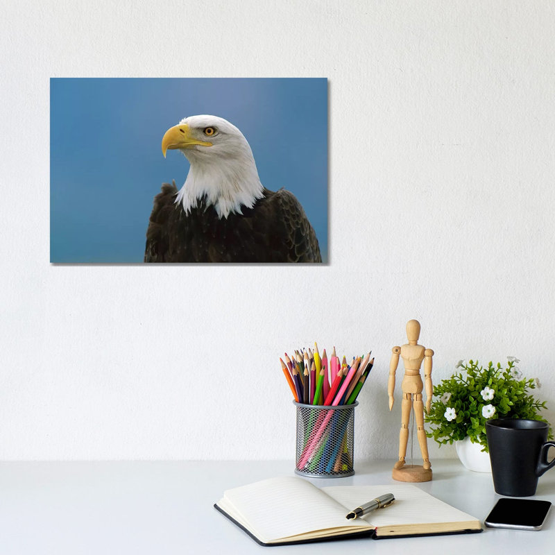 Bald Eagle Profile, North America by Konrad Wothe - Wrapped Canvas Print, 20.32cm H x 30.48cm W x 1.91cm D