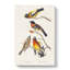 Grosbeak Birds by John Audubon - Wrapped Canvas-55359824