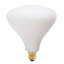 Noma Matte Porcelain  E26 LED Bulb