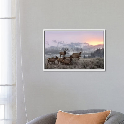 First Light 1 Piece Wall Art on Canvas