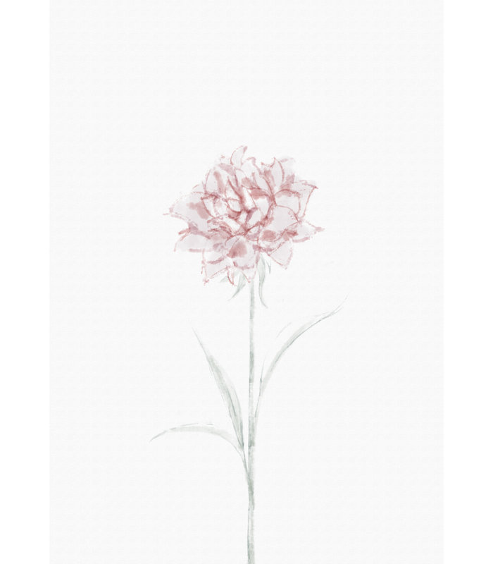 Wrapped Canvas Print, 76.2 cm H x 50.8 cm W