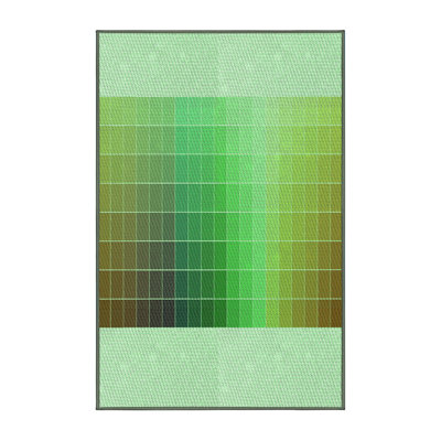 Indoor Rug