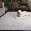 Tapis ivoire / gris Maya 116-1498075317