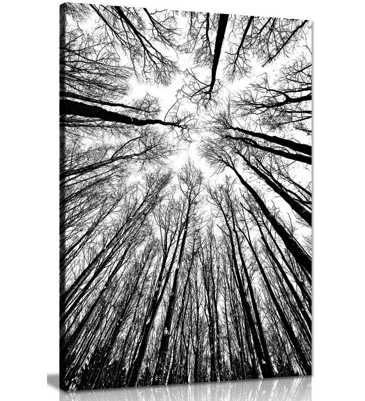 Trees - Wrapped Canvas Print, 46cm H x 31cm W