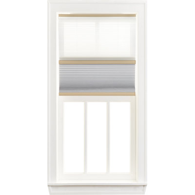 Day and Night Blackout Cellular Shade