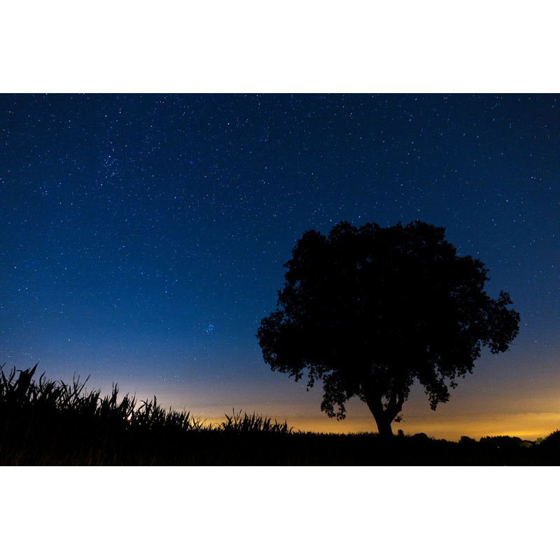 " Starry Night Landscape " by Dennisvdw, 8" H x 12" W  