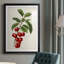 Antique Fruit II, reproduction encadrée de qualité supérieure - prête à être accrochée-781755672-781755669